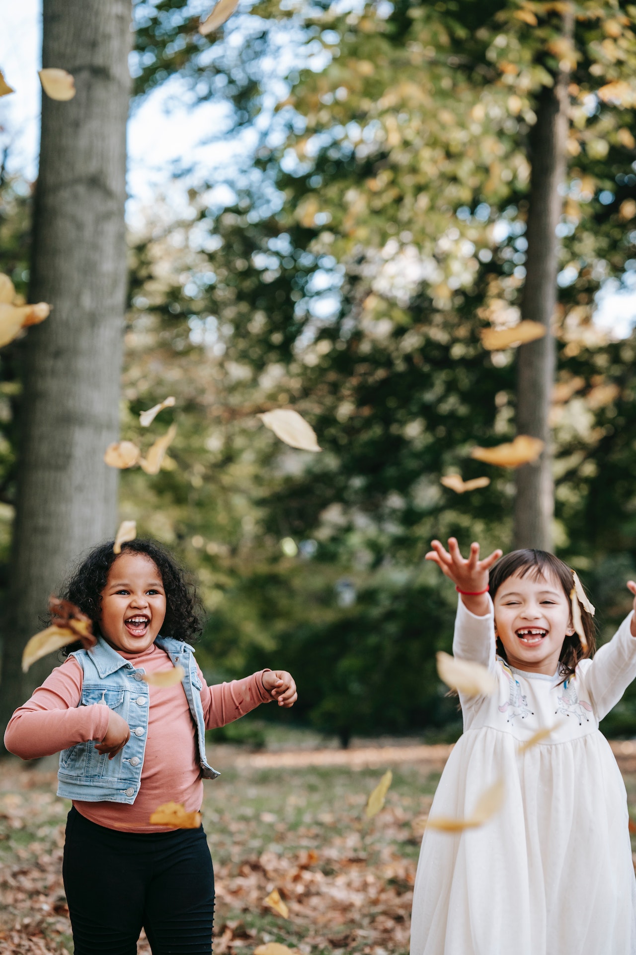 Twee meisjes spelen in de natuur, blij en vrolijk met bladeren aan het spelen